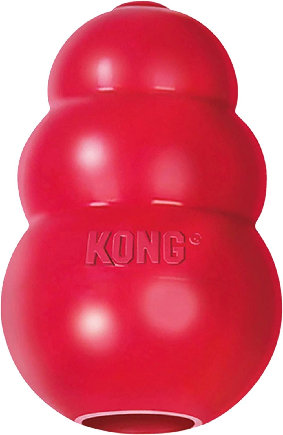 Eco-friendly dog toys