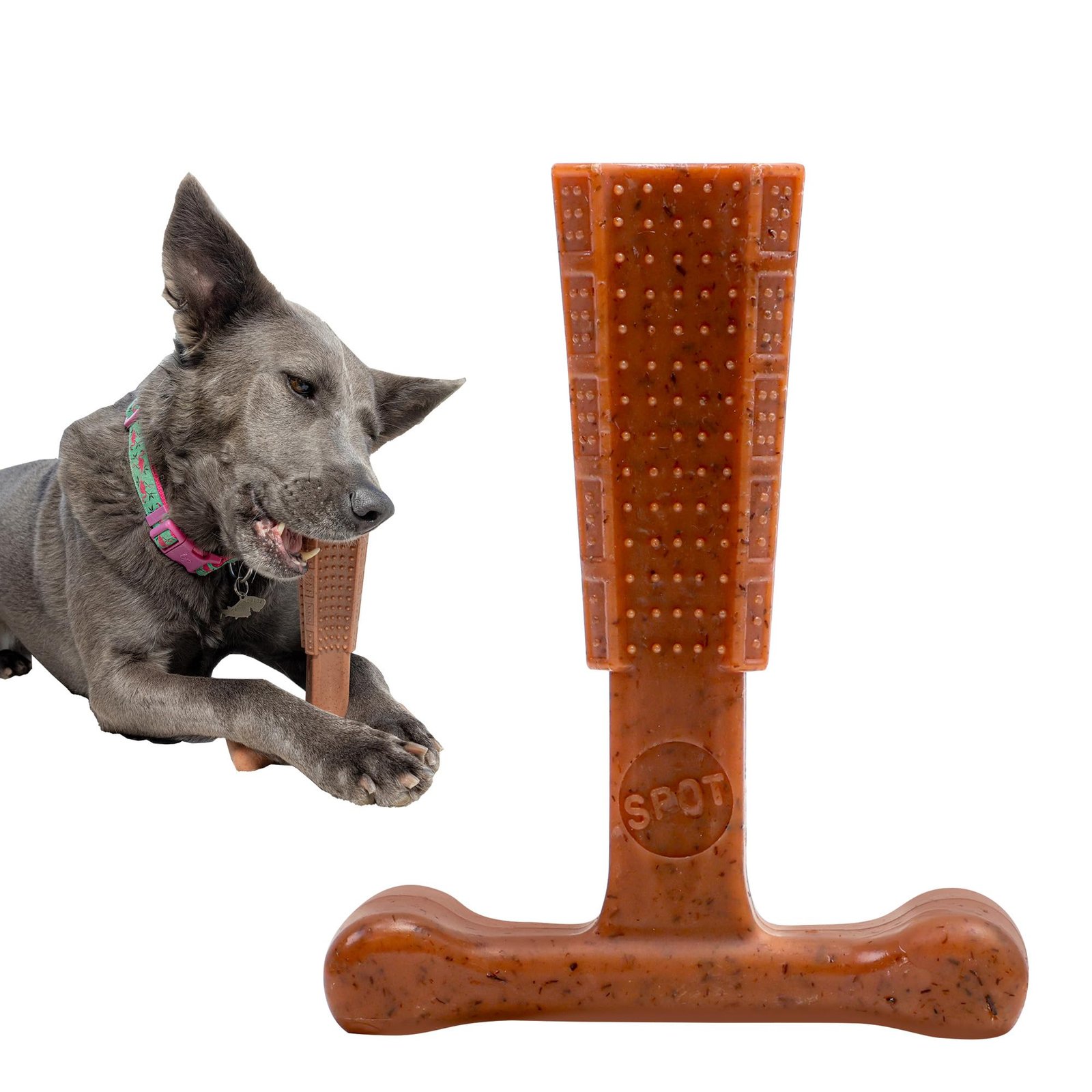 Eco-friendly dog toys