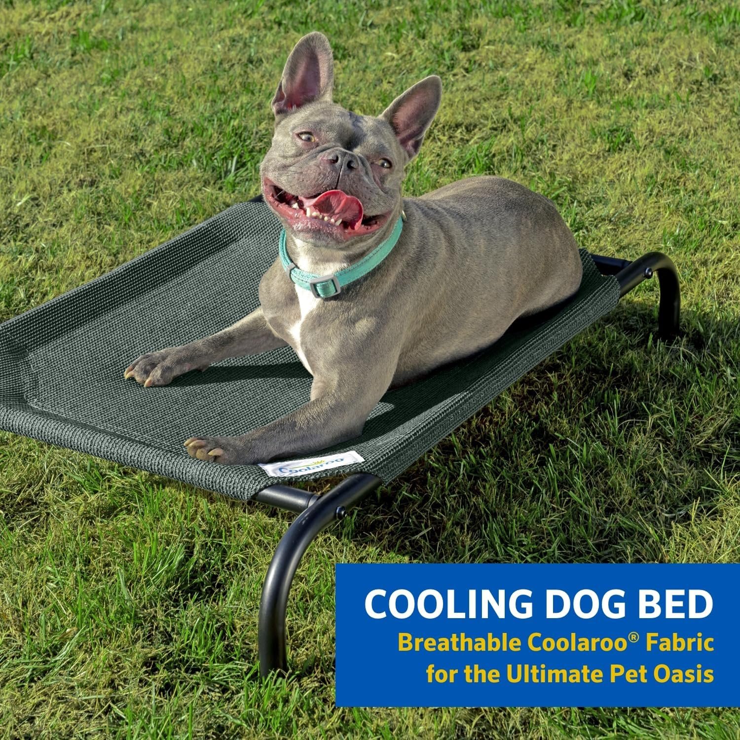 COOLAROO The Original Cooling Elevated Dog Bed, Indoor and Outdoor, Large, Grey