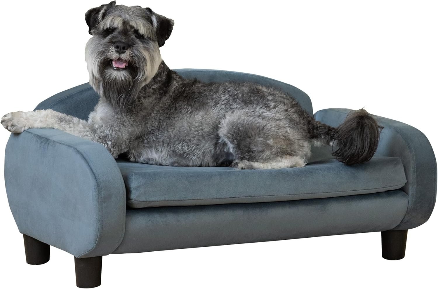 Paws & Purrs Modern Pet Sofa 31.5" Wide Low Back Lounging Bed with Removable Mattress Cover in Espresso/Cornflower